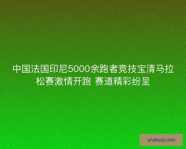 中国法国印尼5000余跑者竞技宝清马拉松赛激情开跑 赛道精彩纷呈