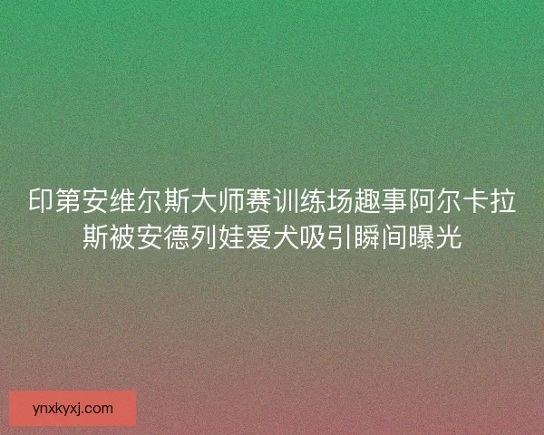 印第安维尔斯大师赛训练场趣事阿尔卡拉斯被安德列娃爱犬吸引瞬间曝光