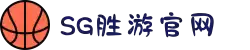 SG·亚洲胜游(中国区)官方网站